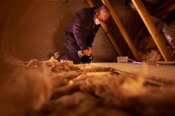 Best Insulation Removal  in Lacey, WA